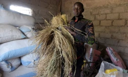 Ancien migrant et conseiller municipal de Nganda au Sénégal, Pape Samba Diane le 6 décembre 2017