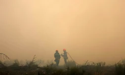 Des pompiers dans la fumée du mégafeu en Gironde, le 26 juillet 2026 à ArÚs