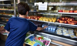 La mairie Front national de Beaucaire (Gard) supprime les menus sans porc