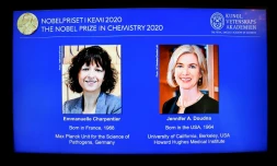 Les lauréates du prix Nobel de Chimie 2020, la Française Emmanuelle Charpentier (G) et l'Américaine Jennifer Doudna, à Stockholm, le 7 octobre 2020.
