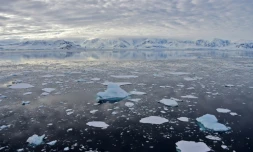 Les glaciers fondent Ă une vitesse spectaculaire sans que l'on puisse les en empĂȘcher, alerte l'ONU