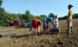 Des détenus s'adonnent aux travaux agricoles à la ferme de Moyembrie dans l'Aisne (nord de la France), le 29 août 2017 