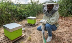 Le réfugien érythréen Abel Yosef Abraham devant les deux ruches qu'il vient d'acquérir, le 26 août 2020 à Pessat-Villeneuve, dans le Puy-de-Dôme