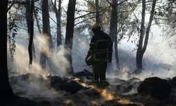 Un pompier après un incendie à Pietracorbara en Haute-Corse, le 12 août 2017