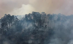 Feu de forêt à Espite in Ourem, dans le centre du Portugal, le 13 juillet 2022. depuis le début de l'année, plus de 30.000 hectares de forêt ont brûlé au Portugal, un record depuis 2017