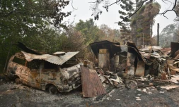 Bushfires have brought destruction to millions of hectares of Australia this summer