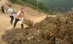 Des habitants réalisent des travaux de déboisement en prévision d'un possible arrivée du feu provenant de l'incendie du parc national des Picos de Europa, dans la ville de Riano, en Castille-et-León, en Espagne, le 18 août 2025