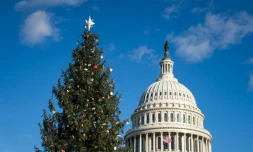 Le sapin de Noël du Capitole de Washington, le 6 décembre 2024
