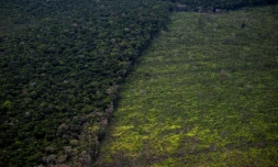 Vue aérienne d'un secteur déboisé d'Amazonie, entre Manaus et Manicoré, au Brésil, le 6 juin 2022