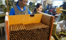 Des employés de la fabrique de cigares de J.C. Newman, travaillent sur des machines très anciennes, à Tampa en Floride le 21 avril 2016