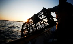 Un pêcheur près des côtes de Granville, le 5 août 2018