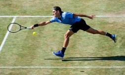 Le Suisse Roger Federer face à l'Allemand Tommy Haas au tournoi de Stuttgart, le 14 juin 2017
