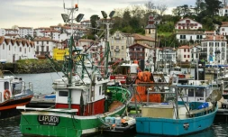 Le port de Saint-Jean-de-Luz à l'arrêt, le 22 janvier 2025, en raison de l'interdiction de presque toute la pêche commerciale (bateaux de 8 mètres ou plus) dans le golfe de Gascogne afin de protéger les dauphins