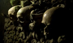 dans les catacombes de Paris, le 30 avril 2008