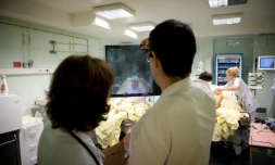 Commencer le dépistage à 40 ans tous les deux ans entraîne nettement plus de faux positifs et de traitements inutiles