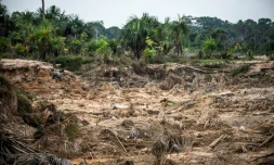 Une zone endommagée de la forêt amazonienne après l'installation d'une mine illégale, le 1er septembre 2019 près de Puerto Maldonado, au Pérou
