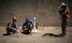 57 ans après la mort de leurs frères après leur naissance dans un camp de Harkis, la fratrie Dargaid, enfants de Harki, vient de retrouver le lieu de leur inhumation, monticules de terre sans nom, au cimetière de Perpignan (sud de la France). Le 7 août 2020