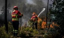 Des pompiers combattent un incendie de forĂȘt Ă Carrascal, Proenca a Nova dans le centre du Portugal le 6 aoĂ»t 2023