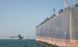 Des cargos dans la baie d'Algoa pour un ravitaillement en mer, à proximité d'une colonie de manchots, le 8 juillet 2020 en Afrique du Sud