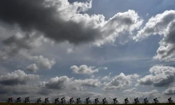 Coureurs cyclistes lors de la 3e étape du Tour de France 2019, entre Binche et Epernay, le 8 juillet