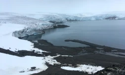 Le glacier Collins sur l'ßle du Roi Georges, le 2 février 2018 en Antarctique