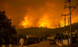 Un habitant marche le long d'une route alors qu'un incendie fait rage près du village de Gouves, sur l'île d'Eubée (Grèce), le 8 août 2021