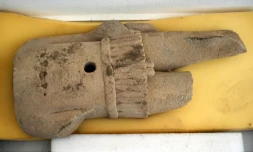 Fragment de sculpture représentant le torse du dieu préhispanique Xipe Tótec retrouvé dans le 1er temple dédié à cette divinité, découvert le 12 octobre 2018