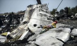 Des fleurs apportées posées sur des débris du MH17, le 26 juillet 2014 à Grabove, dans la région de Donetsk, en Ukraine