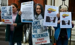 Des supporters du Julian Assange, fondateur de Wikileaks, manifestent devant l'ambassade d'Equateur, le 4 février 2016 à Londres