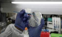 Berlin affirme vouloir défendre ses laboratoires pharmaceutiques travaillant sur un vaccin contre le coronavirus face aux appétits étrangers