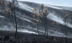 La situation s'est nettement améliorée sur le front des incendies. Ici,  dans les Monts d'Arrée (Finistère), où l'incendie a été "maîtrisé" le 21 juillet 2022