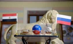 Achille le chat vedette du Mondial se range devant le drapeau de la Russie pronostiquant sa victoire sur l'Egypte, le 19 juin 2018 à Saint-Pétersbourg