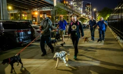 Des membres de l'association Ryders Alley Trencher-fed Society( R.A.T.S) arpentent avec leurs chiens les ruelles d'un quartier de New York pour tuer des rats, le 14 mai 2021