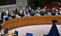 L'ambassadeur américain adjoint Robert Wood lève la main pour opposer son veto à un projet de résolution appelant à un cessez-le-feu à Gaza, lors d'une réunion du Conseil de sécurité des Nations unies consacrée à la situation au Moyen-Orient, au siège de l'ONU à New York, le 20 juin 2024