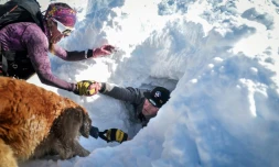 Un chien d'avalanche, des sauveteurs et des pisteurs participent à un entraînement à la station de ski de La Rosière, le 4 février 2025 en Savoie