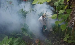 Un homme utilise des fumigÚnes pour éliminer des moustiques Aedes aegypti, vecteurs notamment du virus Zika, à Guatemala, le 5 février 2016