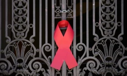 En traitement de la maladie, la boîte d'antirétroviraux Truvada est vendue 500 euros la boîte de 30 comprimés, soit plus de 16 euros l'unité