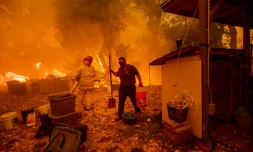 Lane Lawder, habitante de New Long Valley Road près de Clearlake Oaksde, porte un sceau d'eau, alors qu'elle tente de sauver sa maison des flammes du Ranch Fire en Californie le 6 août 2018.