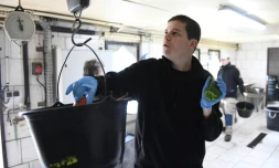 Pour Romain, qui habite un foyer de jeunes travailleurs à Lorient, avoir intégré la structure du Châlet "m'apporte beaucoup plus d'autonomie, pour me débrouiller tout seul, notamment pour venir au boulot le matin", dit-il.