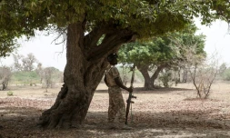 Un soldat nigérian en opération dans le nord-est du pays, prÚs de Damasak, le 25 avril 2017