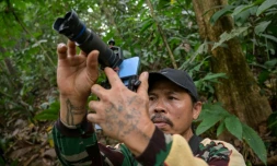 Octavius, villageois indonésien et ancien braconnier, utilise un téléphone portable équipé d’un téléobjectif pour prendre des photos d’animaux sauvages dans une forêt près du village de Labian, à Kapuas Hulu, à Bornéo, le 2 septembre 2026