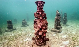 Les sculptures sous-marines du musée MUSZIF aident à protéger les récifs coralliens menacés par le réchauffement climatique et le tourisme à Isla Fuerte, département de Bolivar, en Colombie, le 22 mai 2024