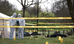 Des étudiants de l'école CY Forensic prennent des photos sur la reconstitution d'une scène de crime lors d'une session de formation à Neuville-sur-Oise, au nord-est de Paris, le 21 mars 2025 dans le Val d'Oise