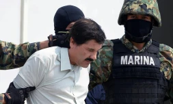 Joaquin Guzman, alias "El Chapo", le 22 février 2014 à Mexico 