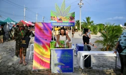 Une marchande de produits à base de cannabis lors d'un festival promouvant cette drogue désormais légale, à Nakhon Pathom, en Thaïlande, le 11 juin 2022
