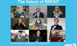 Reportage photographique réalisé du 24 novembre 2017 au 22 janvier 2018 sur des personnes à travers l'Europe dont les carrières sont déjà profondément marquées par le Brexit 