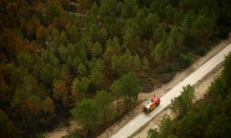 Vue aérienne depuis un hélicoptère de la sécurité civile montrant un camion de pompiers sur une route à Le Porge, en Gironde, le 31 juillet 2026