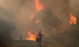 Incendie près du village de Larouco, dans le nord-ouest de l'Espagne, le 13 août 2025