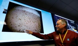 Tom Hoffman, chef du projet InSight, montre la premiÚre photo de Mars envoyée par la sonde le 26 novembre 2018