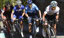 L'Espagnol Alejandro Valverde (c) Ă la lutte avec le Français Julian Alaphilippe (g) lors de La FlĂȘche Wallonne, le 18 avril 2018 Ă Huy